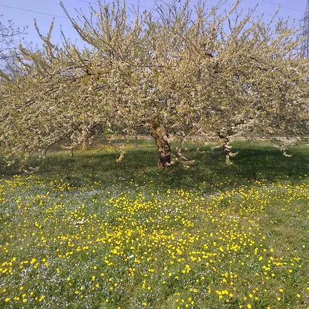 Διαμέρισμα La Casa Di Nello *